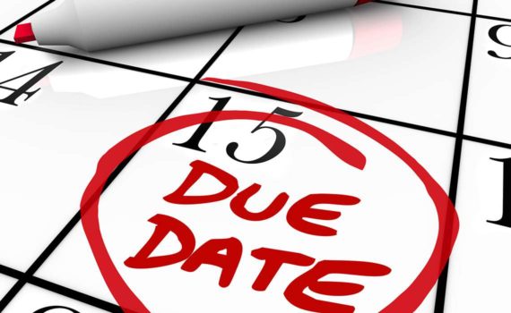 Important dates due date on gst portal